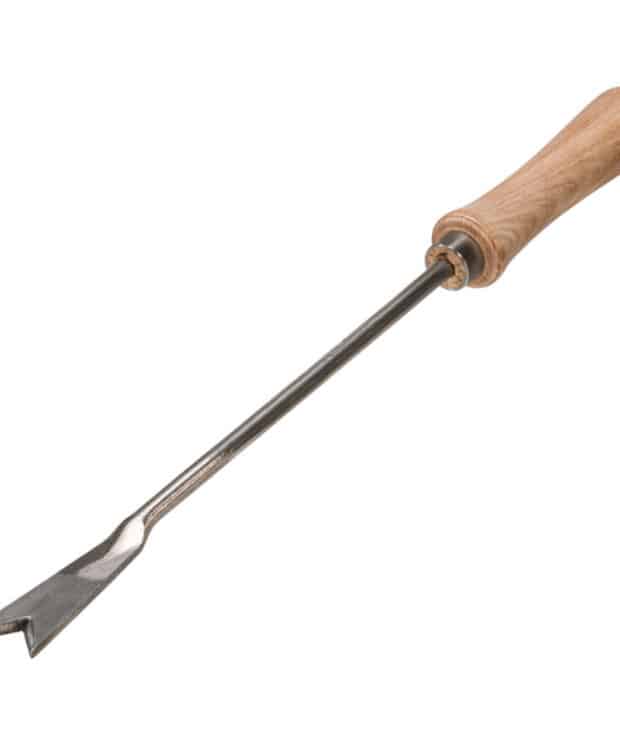 Dandelion Digger Ash
