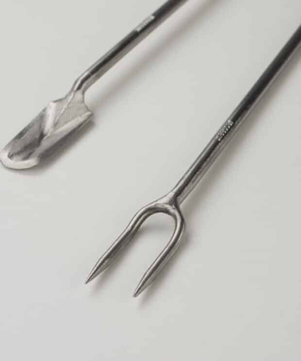 Polished sneeboer terrarium tools on soil beside small plants