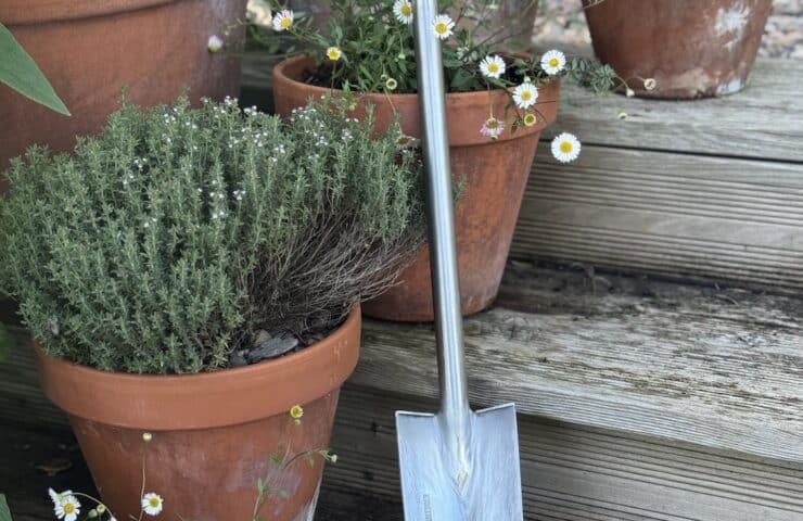 Sneeboer Dutch garden trowel resting in a rustic wooden barn – Thornett Trowel: The scoop from Janet’s barn