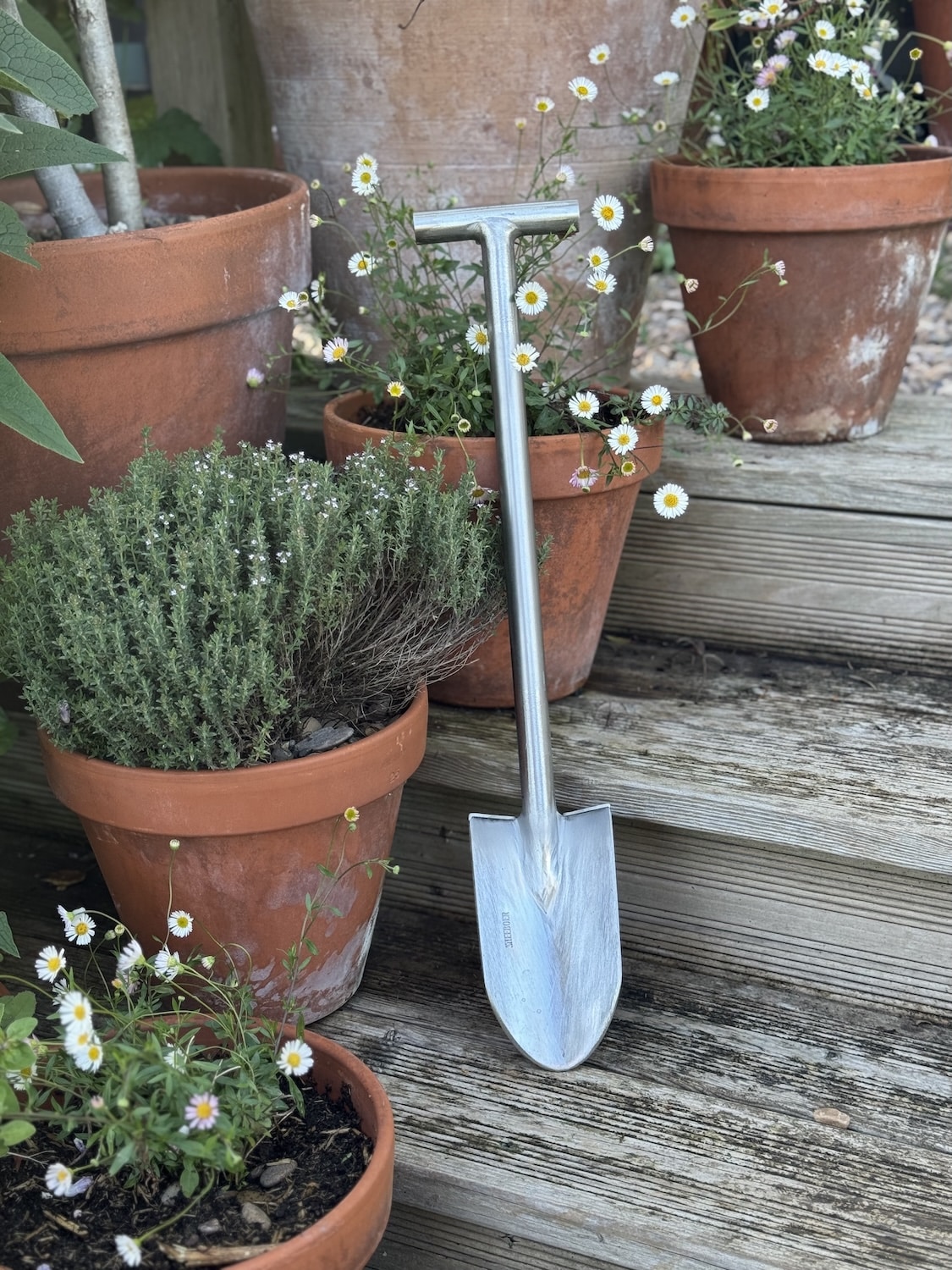 Sneeboer Dutch garden trowel resting in a rustic wooden barn – Thornett Trowel: The scoop from Janet’s barn