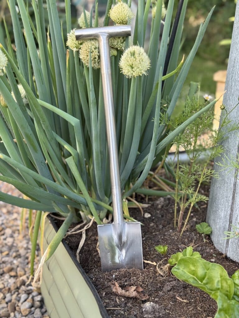 Sneeboer premium Dutch hand garden tools displayed on wooden surface
