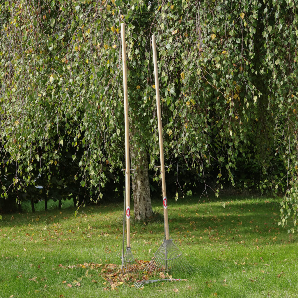 Sneeboer Dutch leaf rake with precision tines for serious gardeners